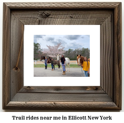 trail rides near me in Ellicott, New York